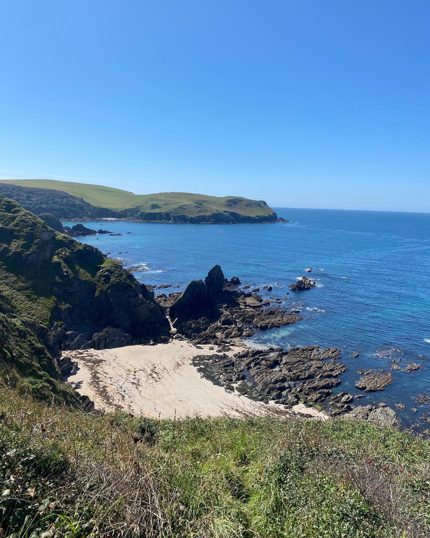 Aerial view of the South Hams coastline